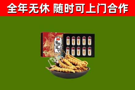 黑龙江回收冬虫夏草价格